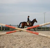 bild_heidi.jpg